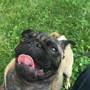 Meet your Posher, Jared